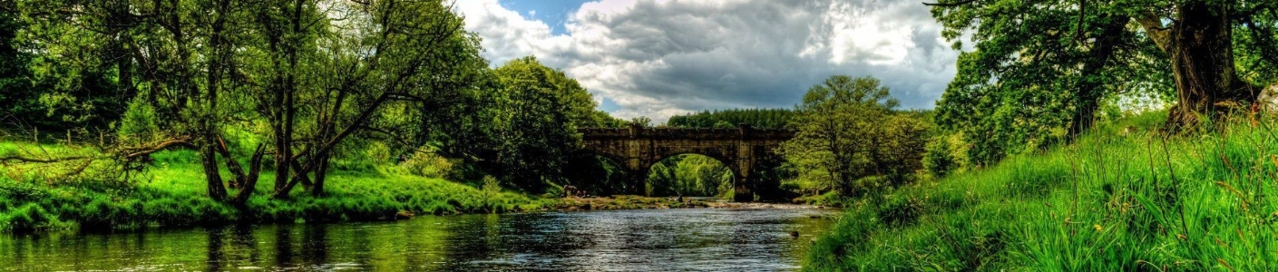 a16.jpeg